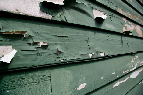 Affordable Siding Repair and Maintenance Services in Forsyth, IL